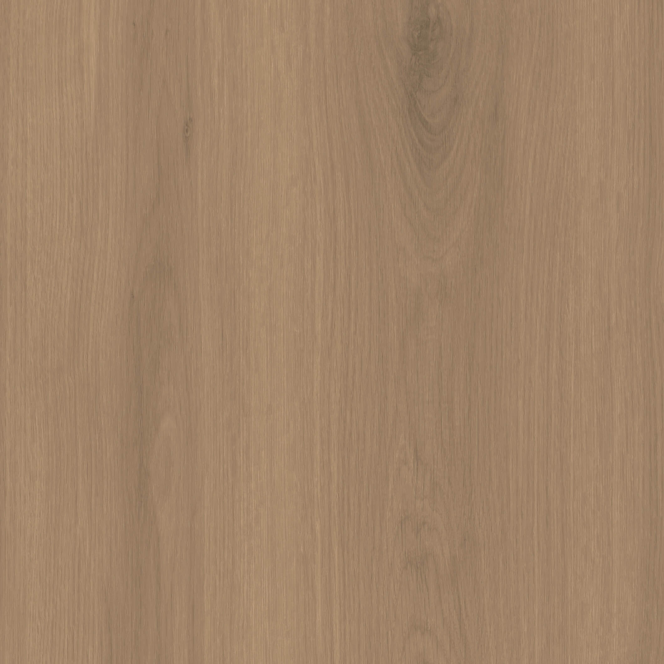 Richmond Canella Oak modern shaker kitchen door
