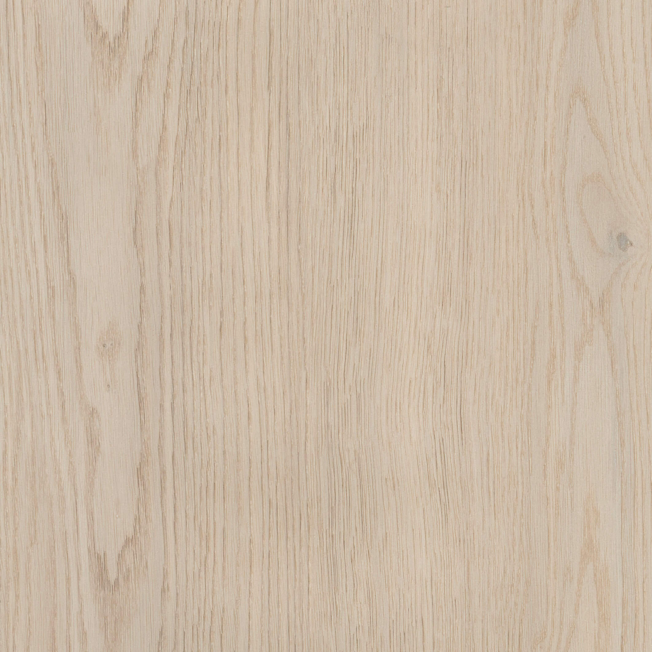 Richmond Cremona Oak Cotta modern shaker kitchen door