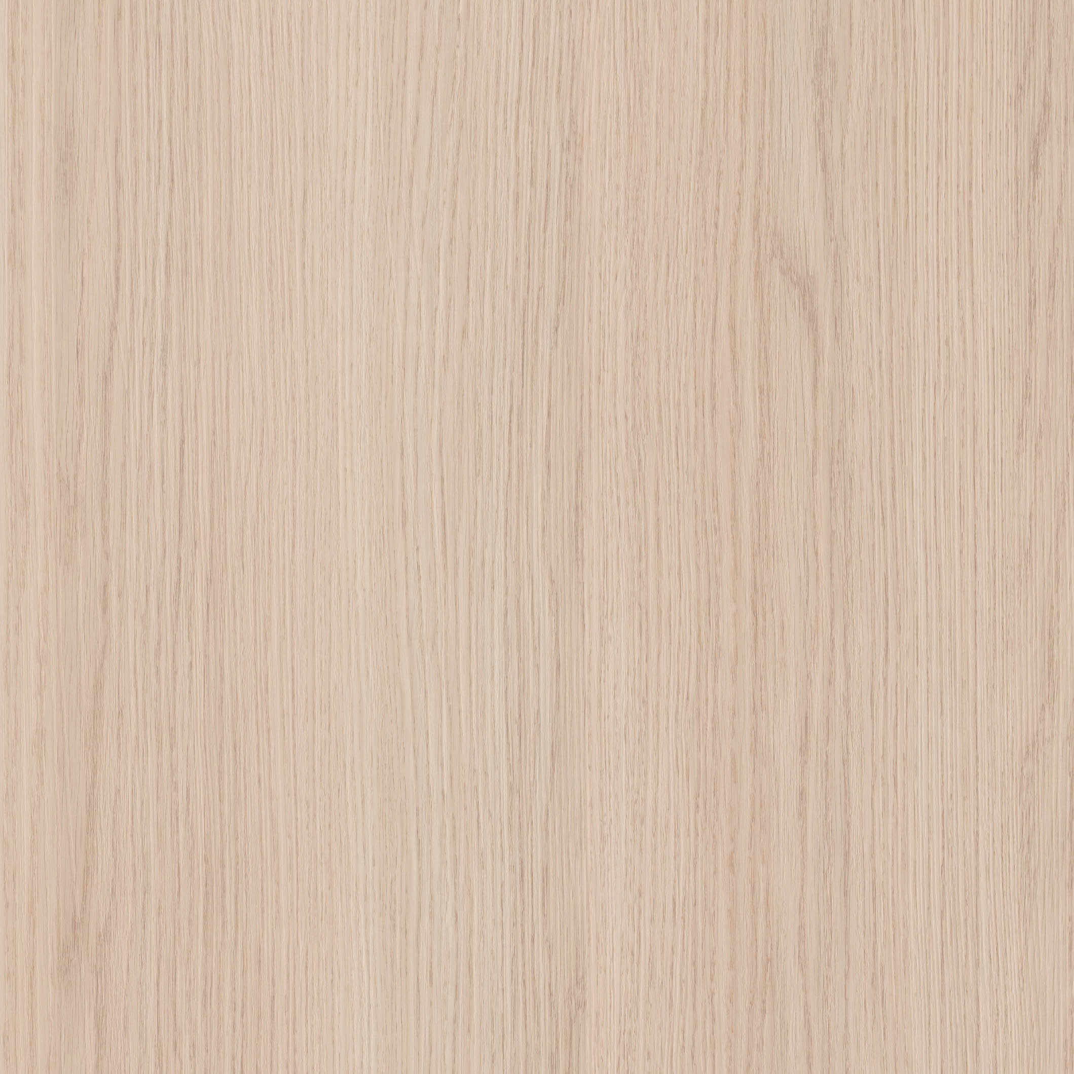 Richmond Light Vicenza Oak modern shaker kitchen door